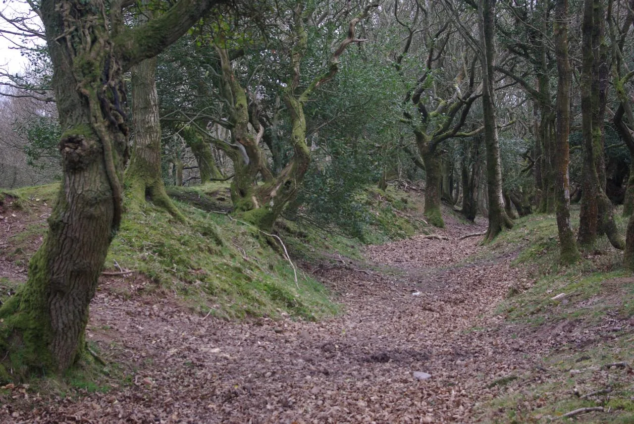 Dead Woman's Ditch